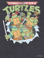 Teenage Mutant Ninja Turtles Breakthrough Group Classic T-Shirt